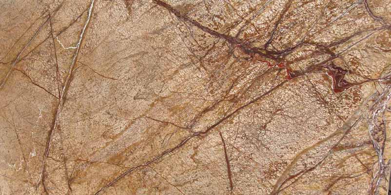 Rain Forest Brown Antique